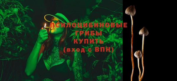 кокс Осташков