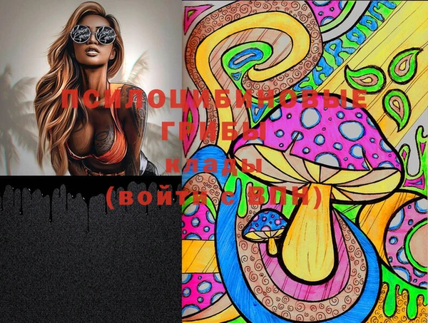 кокс Осташков