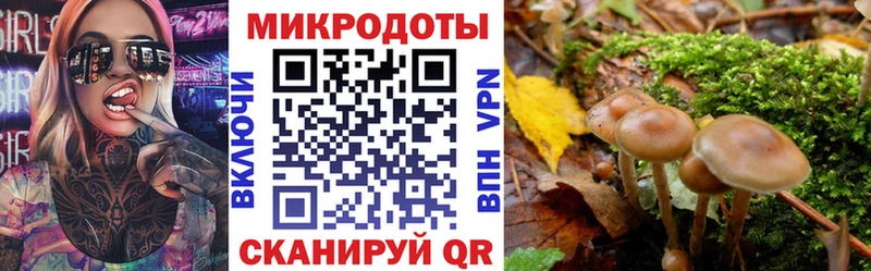 Галлюциногенные грибы Magic Shrooms  Купить  Ессентукская 